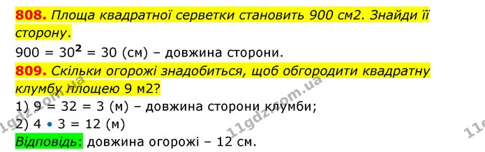 808. Площа квадратної серветки становить 900 см2. Знайди її сторону. — ГДЗ Математика 5 клас Бевз