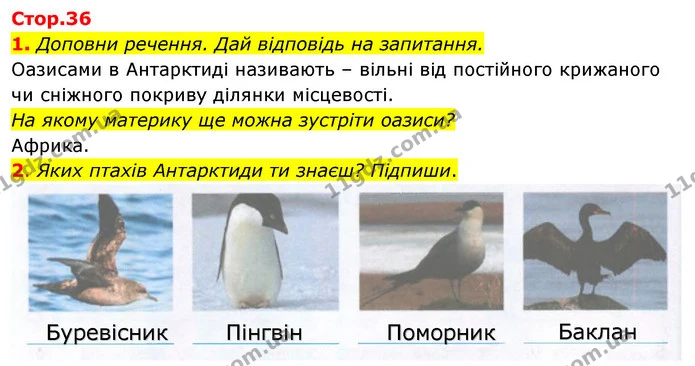 1. Доповни речення. Дай відповідь на запитання. — ГДЗ Робочий зошит Я досліджую світ 4 клас Гільберг