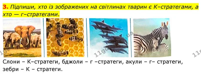 Стор. 42 — 3 — ГДЗ робочий зошит Біологія 7 клас Тагліна — ГДЗ робочий зошит Біологія 7 клас Тагліна