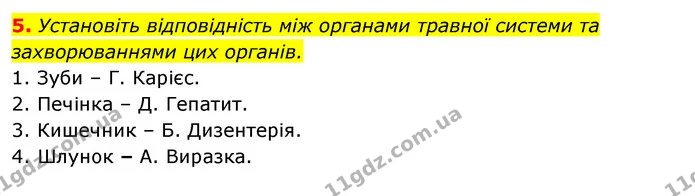 5. Установіть відповідність між органами травної системи та захворюваннями цих органів. — ГДЗ Робочий зошит Біологія 8 клас Задорожний