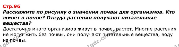 Расскажите по рисунку о значении почвы для организмов. Кто живёт в почве? Откуда растения получают питательные вещества? — ГДЗ Я исследую мир 1 класс Гильберг