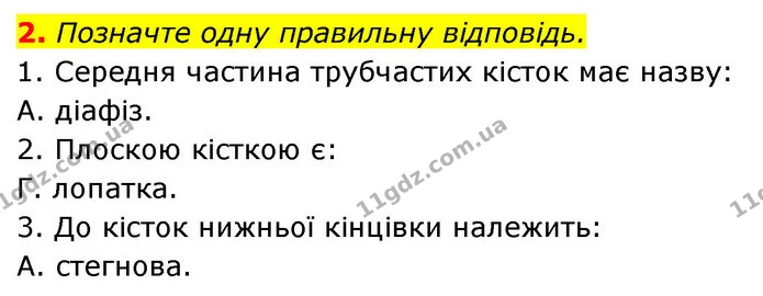 2. Позначте одну правильну відповідь. — ГДЗ Робочий зошит Біологія 8 клас Задорожний