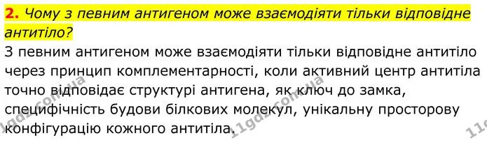 2. Чому з певним антигеном може взаємодіяти тільки відповідне антитіло? — ГДЗ Біологія 8 клас Балан