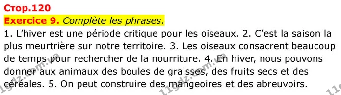 Exercice 9. Complète les phrases. — ГДЗ Французька мова 7 клас Чумак