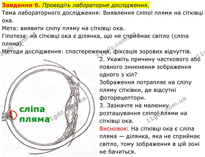 Стор. 104 — 6 — ГДЗ Робочий зошит біологія 8 клас Мирна — ГДЗ Робочий зошит біологія 8 клас Мирна