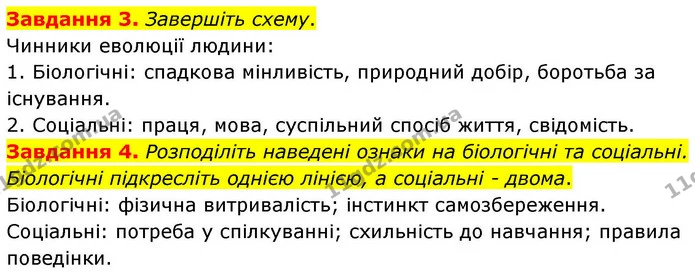 Стор. 138 — 3-4 — ГДЗ Робочий зошит біологія 8 клас Мирна — ГДЗ Робочий зошит біологія 8 клас Мирна