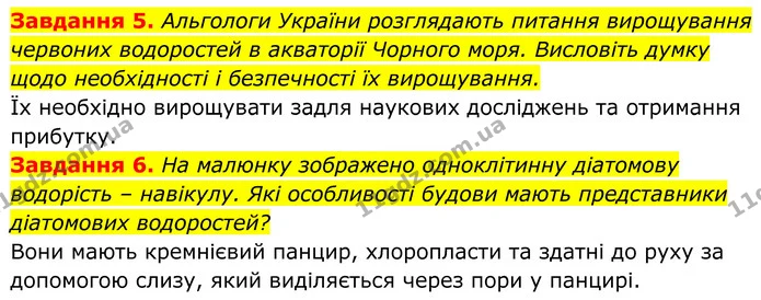 5. Альгологи України розглядають питання вирощування червоних водоростей в акваторії Чорного моря. Висловіть думку щодо необхідності і — ГДЗ Робочий зошит Біологія 7 клас Мирна 2024