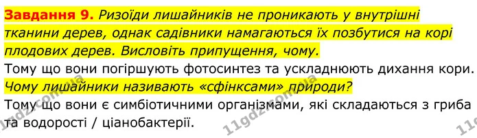 9. Ризоїди лишайників не проникають у внутрішні тканини дерев, однак садівники намагаються їх позбутися на корі плодових дерев — ГДЗ Робочий зошит Біологія 7 клас Мирна 2024