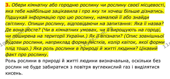 3. Обери кімнатну або городню рослину чи рослину своєї місцевості, яка тебе найбільше зацікавила і про яку ти хочеш більше дізнатись — ГДЗ Пізнаємо природу 5 клас Біда