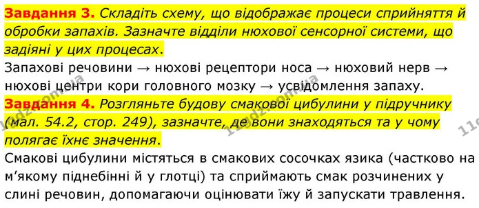 Стор. 114 — 3-4 — ГДЗ Робочий зошит біологія 8 клас Мирна — ГДЗ Робочий зошит біологія 8 клас Мирна