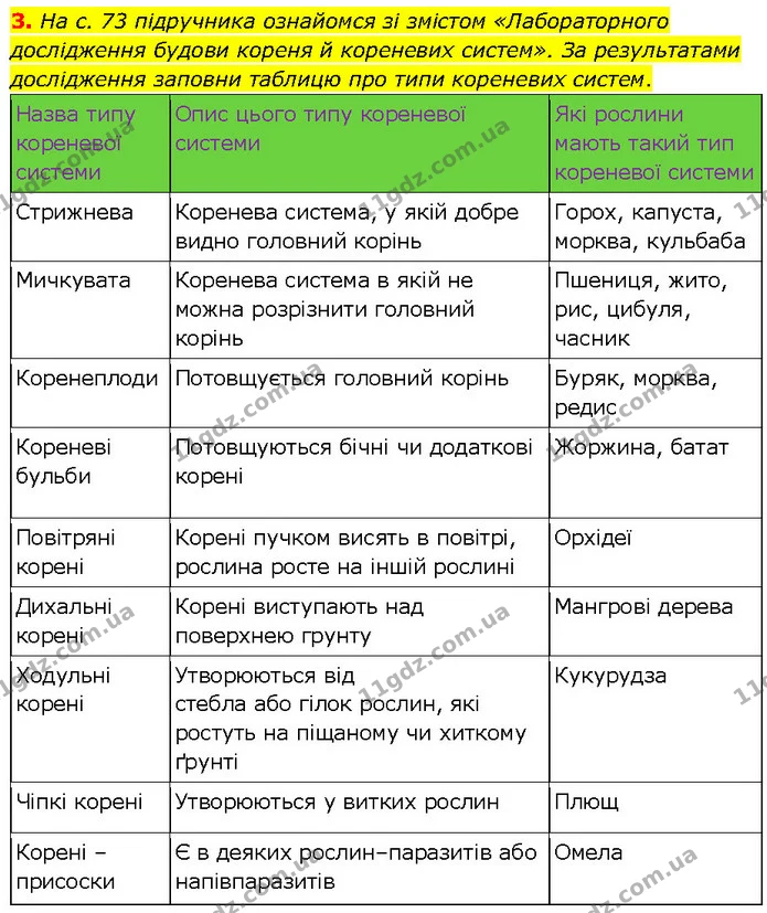 3. На с. 73 підручника ознайомся зі змістом «Лабораторного дослідження будови кореня й кореневих систем». За результатами дослідження — ГДЗ робочий зошит Біологія 7 клас Тагліна