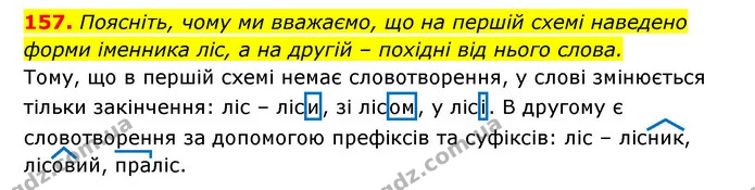 157. Поясніть, чому ми вважаємо, що на першій схемі наведено форми іменника ліс, а на другій – похідні від нього слова. — ГДЗ Українська мова 6 клас Заболотний 2023