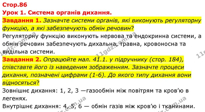 Стор. 86 — 1-2 — ГДЗ Робочий зошит біологія 8 клас Мирна — ГДЗ Робочий зошит біологія 8 клас Мирна