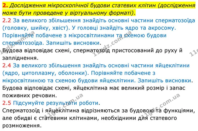 2. Дослідження мікроскопічної будови статевих клітин (дослідження може бути проведене у віртуальному форматі). — ГДЗ Робочий зошит Біологія 8 клас Тагліна (2025)