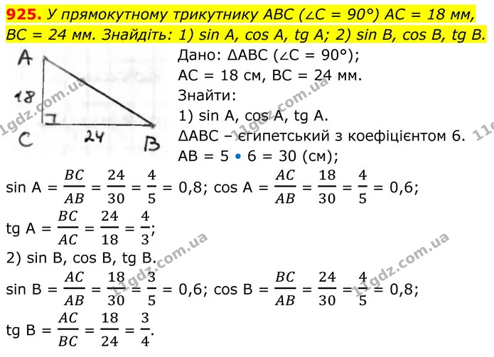925. У прямокутному трикутнику ABC (∠C = 90°) AC = 18 мм, BC = 24 мм. Знайдіть: 1) sin A, cos А, tg А; 2) sin B, cos В, tg B. — ГДЗ Геометрія 8 клас Бурда
