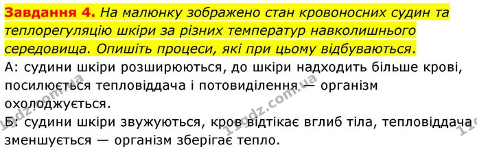 Стор. 100 — 4 — ГДЗ Робочий зошит біологія 8 клас Мирна — ГДЗ Робочий зошит біологія 8 клас Мирна