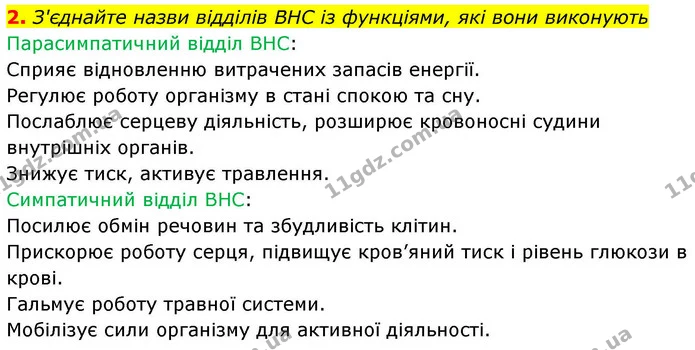 2. З'єднайте назви відділів BHC із функціями, які вони виконують — ГДЗ Робочий зошит Біологія 8 клас Тагліна (2025)