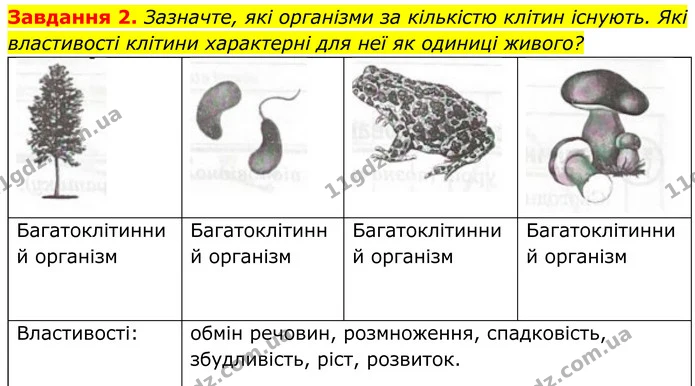 2. Зазначте, які організми за кількістю клітин існують. Які властивості клітини характерні для неї як одиниці живого? — ГДЗ Робочий зошит Біологія 7 клас Мирна 2024