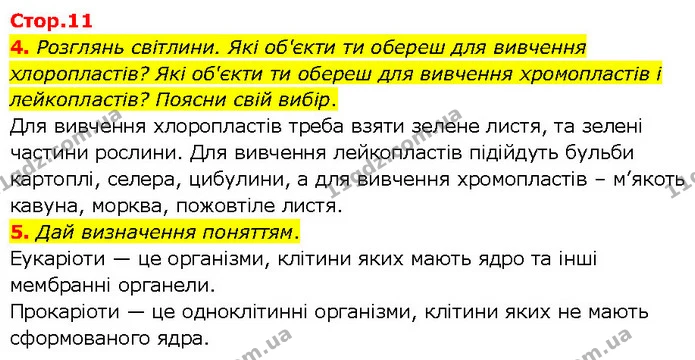 4. Розглянь світлини. Які об'єкти ти обереш для вивчення хлоропластів? Які об'єкти ти обереш для вивчення хромопластів і лейкопластів? — ГДЗ робочий зошит Біологія 7 клас Тагліна