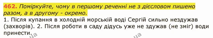 462. Поміркуйте, чому в першому реченні не з дієсловом пишемо — ГДЗ Українська мова 6 клас Заболотний 2019
