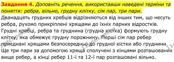 Стор. 41 — 4 — ГДЗ Робочий зошит біологія 8 клас Мирна — ГДЗ Робочий зошит біологія 8 клас Мирна
