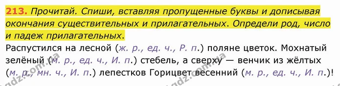 213. Прочитай. Спиши, вставляя пропущенные буквы и дописывая окончания существительных и прилагательных. Определи род, число и падеж — ГДЗ Русский язык и чтение 4 класс Лапшина 1 ч.