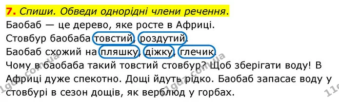 7. Спиши. Обведи однорідні члени речення. — ГДЗ Українська мова та читання 4 клас Большакова