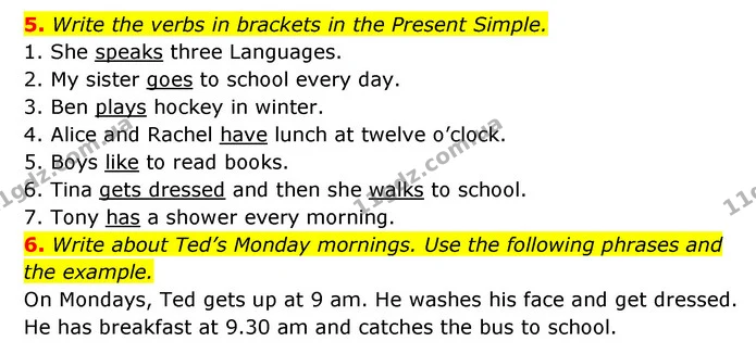 5. Write the verbs in brackets in the Present Simple. — ГДЗ Робочий зошит Англійська мова 5 клас Косован (Дж. Коста)
