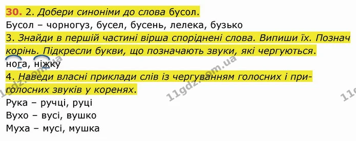 30. 2. Добери синоніми до слова бусол. — ГДЗ Українська мова та читання 4 клас Коваленко