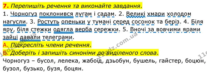 7. Перепишіть речення та виконайте завдання. — ГДЗ Українська мова 6 клас Авраменко