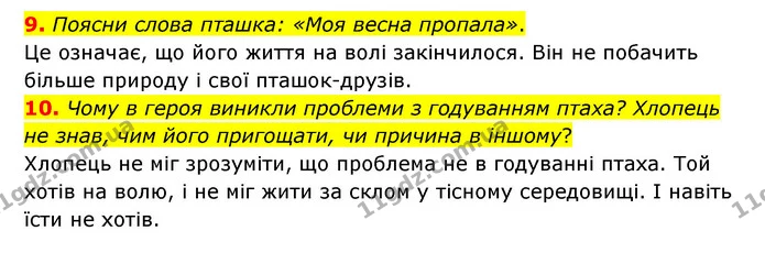 9. Поясни слова пташка: «Моя весна пропала». — ГДЗ Українська література 6 клас Коваленко 2023