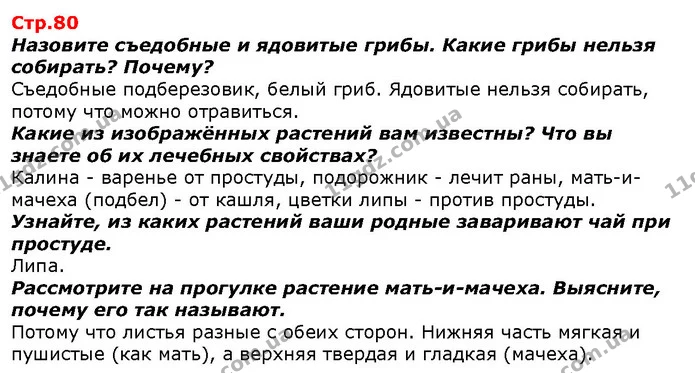 Назовите съедобные и ядовитые грибы. Какие грибы нельзя собирать? Почему? — ГДЗ Я исследую мир 1 класс Гильберг