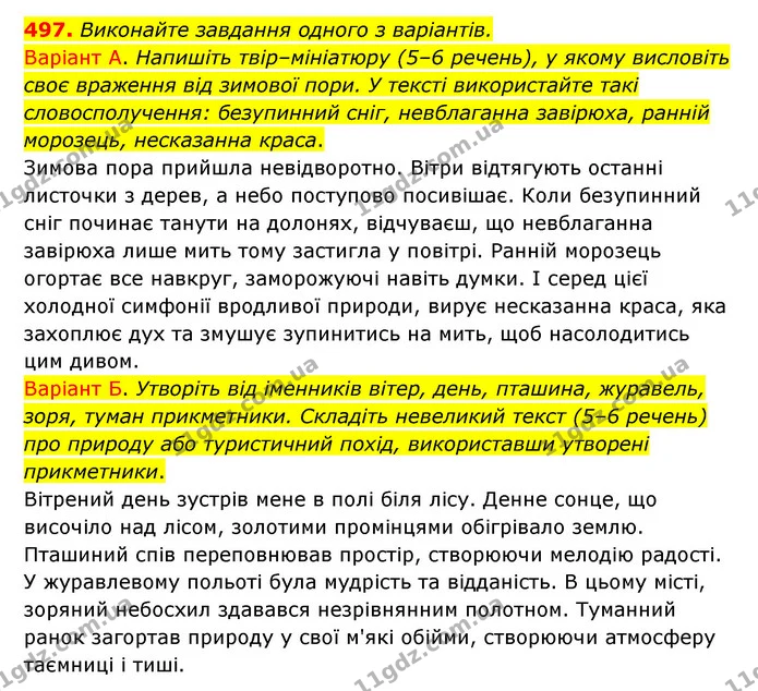 497. Виконайте завдання одного з варіантів. — ГДЗ Українська мова 6 клас Заболотний 2023