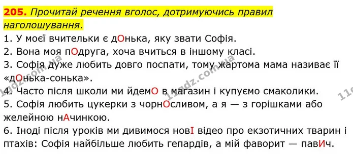 205. Прочитай речення вголос, дотримуючись правил наголошування. — ГДЗ Українська мова 5 клас Онатій