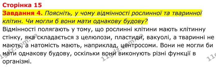 4. Поясніть, у чому відмінності рослинної та тваринної клітин. Чи могли б вони мати однакову будову? — ГДЗ Робочий зошит Біологія 7 клас Мирна 2024