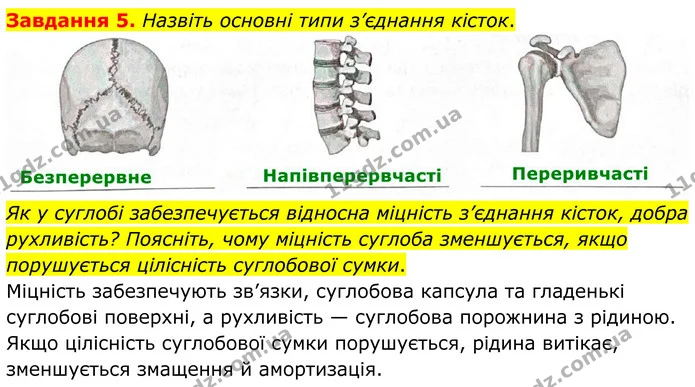 Стор. 39 — 5 — ГДЗ Робочий зошит біологія 8 клас Мирна — ГДЗ Робочий зошит біологія 8 клас Мирна