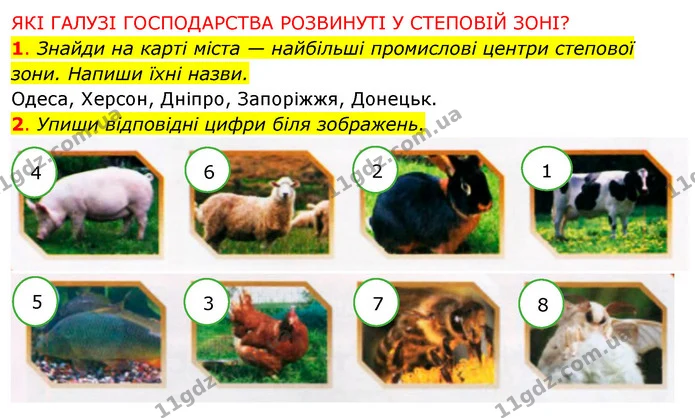 1. Знайди на карті міста — найбільші промислові центри степової зони. Напиши їхні назви. — ГДЗ Робочий зошит Я досліджую світ 4 клас Грущинська