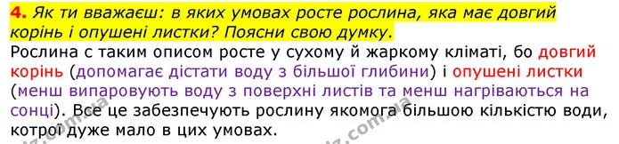 4. Як ти вважаєш: в яких умовах росте рослина, яка має довгий корінь і опушені листки? Поясни свою думку. — ГДЗ Природознавство 5 клас Коршевнюк