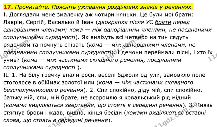17. Прочитайте. Поясніть уживання розділових знаків у реченнях. — ГДЗ Українська мова 6 клас Ворон, Солопенко