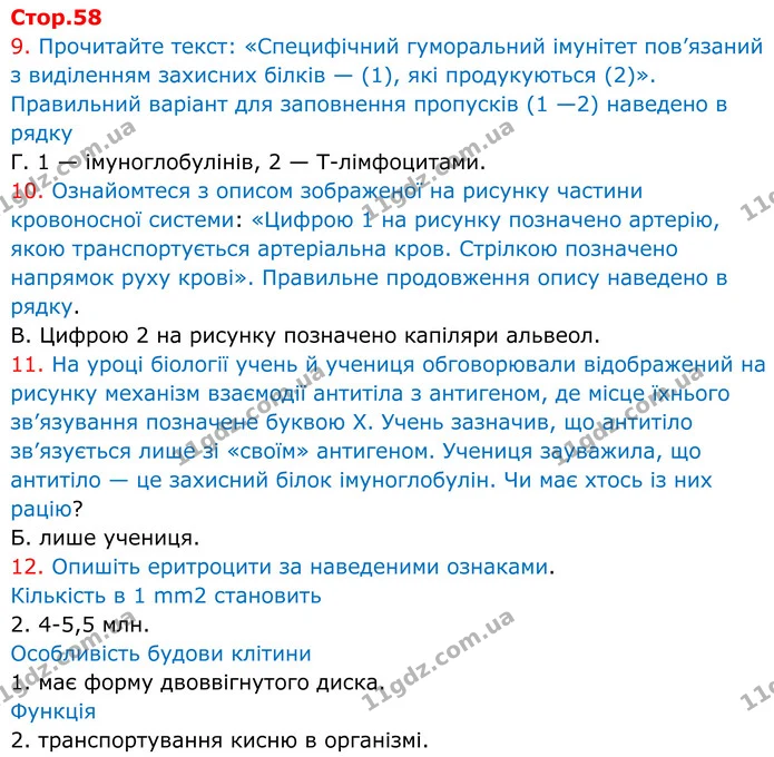 9. Прочитайте текст: «Специфічний гуморальний імунітет пов’язаний з виділенням захисних білків — (1), які продукуються (2)». Правильний — ГДЗ робочий зошит Біологія 8 клас Андерсон