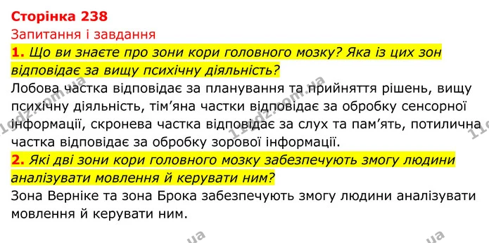 Стор. 238 — 1 — ГДЗ Біологія 8 клас Тагліна — ГДЗ Біологія 8 клас Тагліна