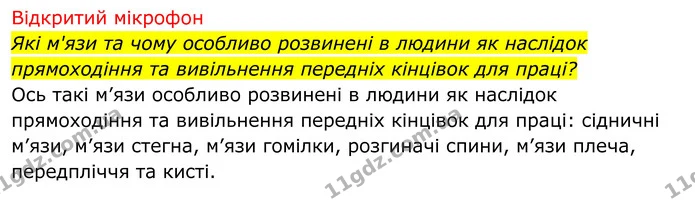 Стор. 28 — 2 — ГДЗ Біологія 8 клас Тагліна — ГДЗ Біологія 8 клас Тагліна