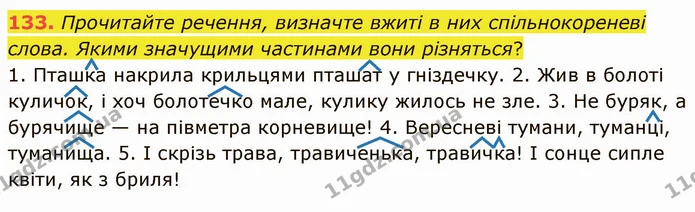 133. Прочитайте речення, визначте вжиті в них спільнокореневі слова. Якими значущими частинами вони різняться? — ГДЗ Українська мова 5 клас Глазова 2022