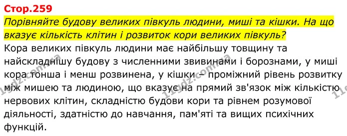 Порівняйте будову великих півкуль людини, миші та кішки. На що вказує кількість клітин і розвиток кори великих півкуль? — ГДЗ Біологія 8 клас Балан