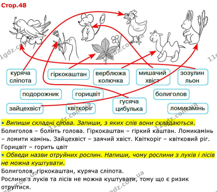 • Випиши складні слова. Запиши, з яких слів вони складаються. — ГДЗ Робочий зошит Українська мова 4 клас Большакова