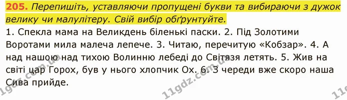 205. Перепишіть, уставляючи пропущені букви та вибираючи з дужок велику чи малулітеру. Свій вибір обґрунтуйте. — ГДЗ Українська мова 6 клас Глазова