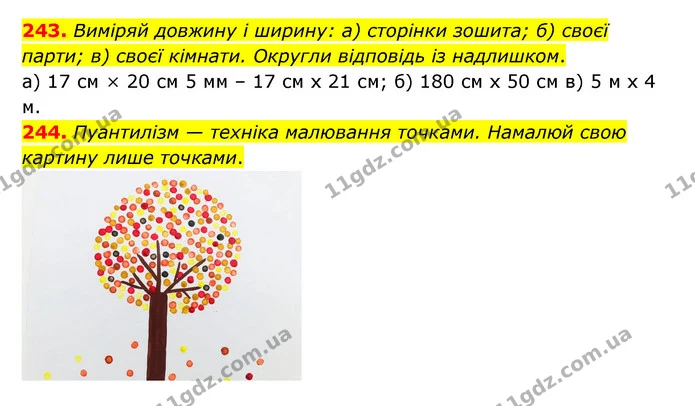 243. Виміряй довжину і ширину: а) сторінки зошита; б) своєї парти; в) своєї кімнати. Округли відповідь із надлишком. — ГДЗ Математика 5 клас Бевз
