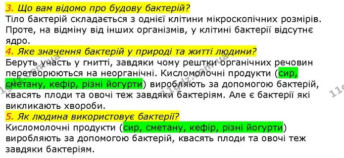 3. Що вам відомо про будову бактерій? — ГДЗ Природознавство 5 клас Ярошенко