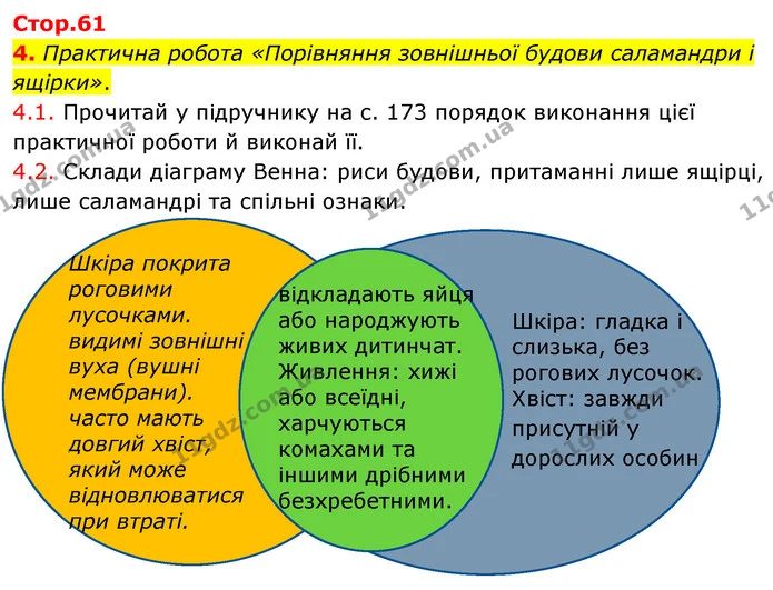 Стор. 61 — Стр.61 (4.1-2) — ГДЗ робочий зошит Біологія 7 клас Тагліна — ГДЗ робочий зошит Біологія 7 клас Тагліна
