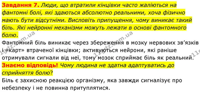 Стор. 113 — 7 — ГДЗ Робочий зошит біологія 8 клас Мирна — ГДЗ Робочий зошит біологія 8 клас Мирна